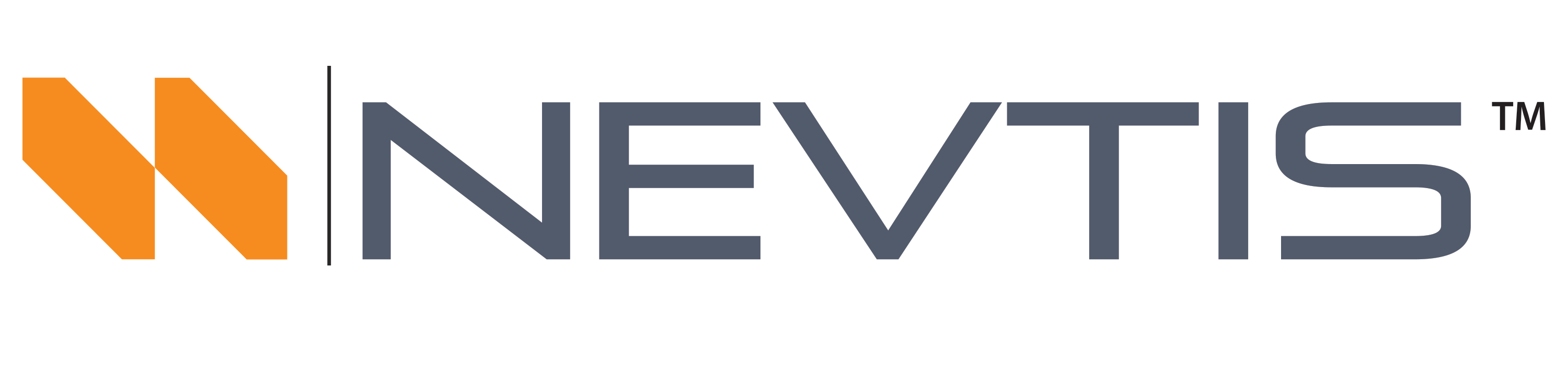 NEVTIS CORP